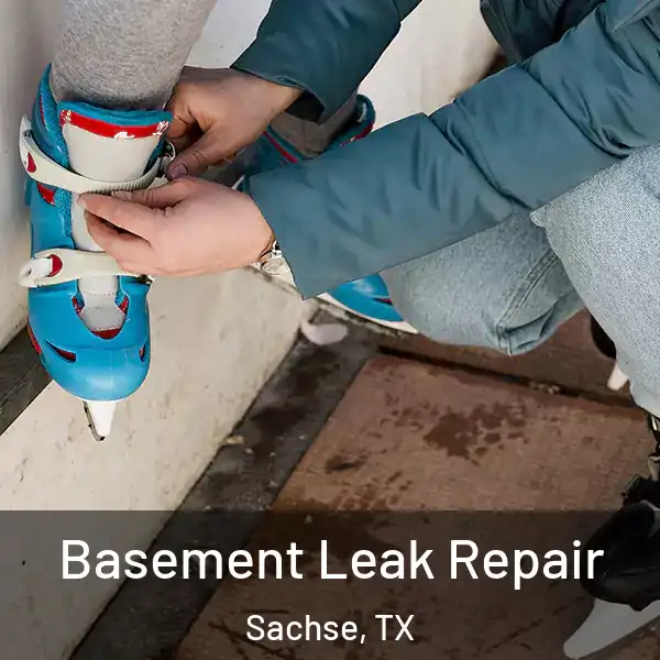  Basement Leak Repair Sachse, TX