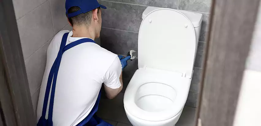 Toilet Lid Replacement in Sachse